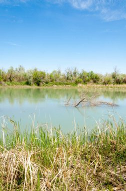 Bozkır nehir sazlık yaz
