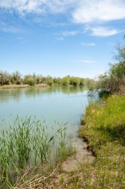 Bozkır nehir sazlık yaz
