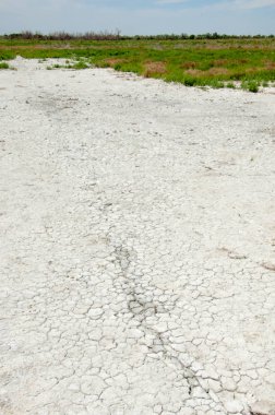 Bozkır tuzlu topraklar. tuz tuz tuz. Bozkır çayır ve