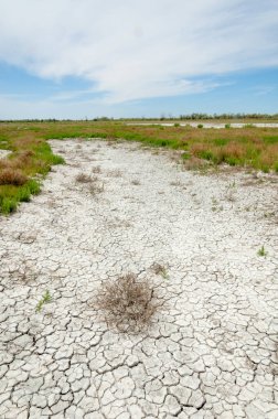 Bozkır tuzlu topraklar. tuz tuz tuz. Bozkır çayır ve