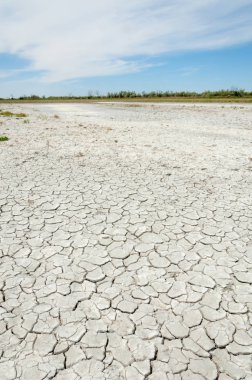 Bozkır tuzlu topraklar. tuz tuz tuz. Bozkır çayır ve