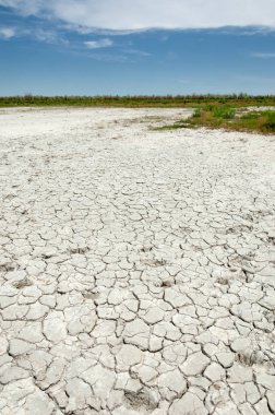 Bozkır tuzlu topraklar. tuz tuz tuz. Bozkır çayır ve