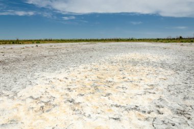 Bozkır tuzlu topraklar. tuz tuz tuz. Bozkır çayır ve