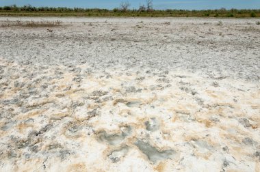 Bozkır tuzlu topraklar. tuz tuz tuz. Bozkır çayır ve