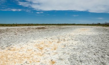 Bozkır tuzlu topraklar. tuz tuz tuz. Bozkır çayır ve