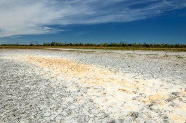 Bozkır tuzlu topraklar. tuz tuz tuz. Bozkır çayır ve