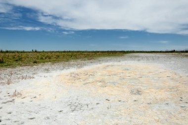 Bozkır tuzlu topraklar. tuz tuz tuz. Bozkır çayır ve