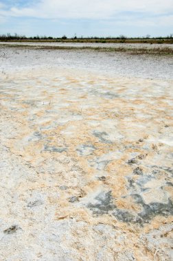 Bozkır tuzlu topraklar. tuz tuz tuz. Bozkır çayır ve