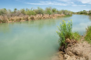 Bozkır nehir sazlık yaz