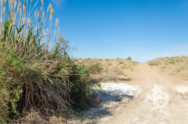 Bozkır tuzlu topraklar. tuz tuz tuz. Bozkır çayır ve