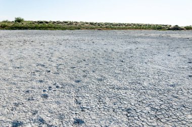 Bozkır tuzlu topraklar. tuz tuz tuz. Bozkır çayır ve
