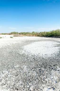 Bozkır tuzlu topraklar. tuz tuz tuz. Bozkır çayır ve