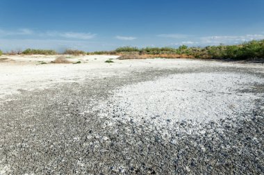 Bozkır tuzlu topraklar. tuz tuz tuz. Bozkır çayır ve