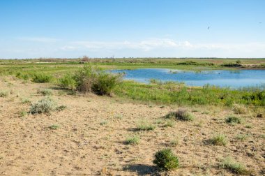 Olay yerinde bozkır gölde akşam güzel gökyüzü altında küçük bir göl