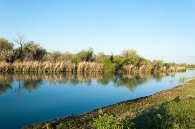 Bozkır nehir sazlık yaz