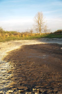 Bozkır tuzlu topraklar. tuz tuz tuz. Bozkır çayır ve