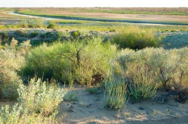 Olay yerinde bozkır gölde akşam güzel gökyüzü altında küçük bir göl