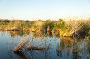 Olay yerinde bozkır gölde akşam güzel gökyüzü altında küçük bir göl