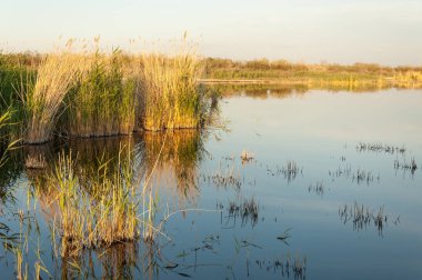 Olay yerinde bozkır gölde akşam güzel gökyüzü altında küçük bir göl
