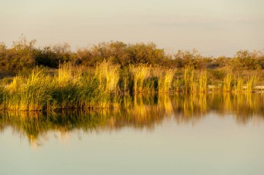 Olay yerinde bozkır gölde akşam güzel gökyüzü altında küçük bir göl