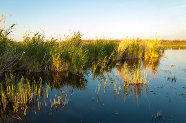 Olay yerinde bozkır gölde akşam güzel gökyüzü altında küçük bir göl