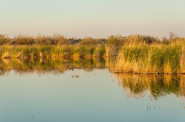 Olay yerinde bozkır gölde akşam güzel gökyüzü altında küçük bir göl