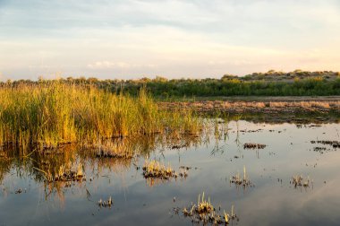 Olay yerinde bozkır gölde akşam güzel gökyüzü altında küçük bir göl