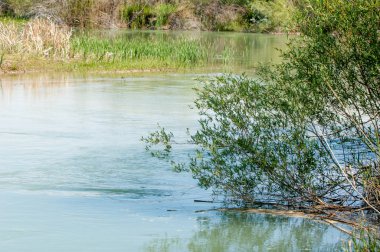 Bozkır nehir sazlık yaz