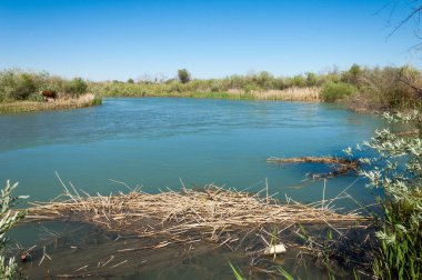 Bozkır nehir sazlık yaz