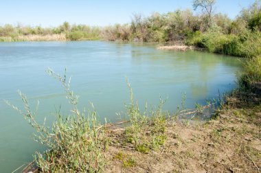 Bozkır nehir sazlık yaz