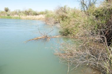 Bozkır nehir sazlık yaz