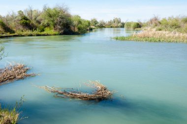 Bozkır nehir sazlık yaz