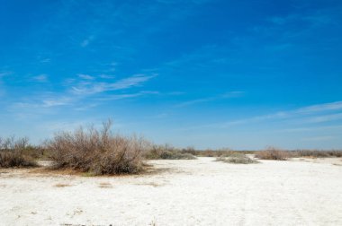 Saline, tuz bataklığı