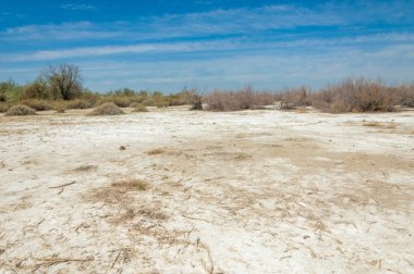 Saline, tuz bataklığı
