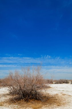 Saline, tuz bataklığı