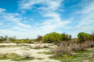 Saline, tuz bataklığı