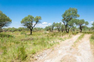 Bozkır yaz. Turgai Kaydet. Çölde Gölü