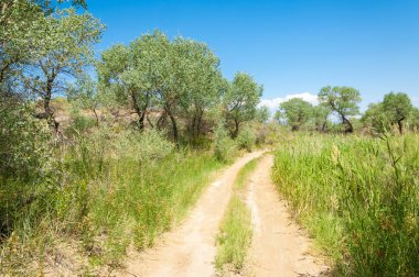 Bozkır yaz. Turgai Kaydet. Çölde Gölü