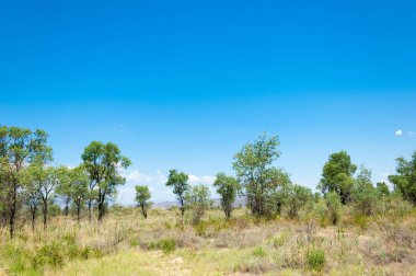 Bozkır yaz. Turgai Kaydet. Çölde Gölü