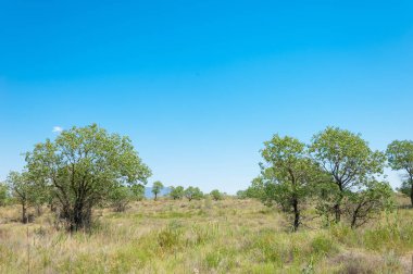 Bozkır yaz. Turgai Kaydet. Çölde Gölü