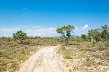 Bozkır yaz. Turgai Kaydet. Çölde Gölü