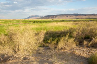 Bozkır yaz. Turgai Kaydet. Çölde Gölü