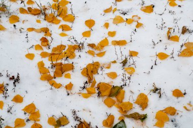 Sonbahar kar doku bırakır