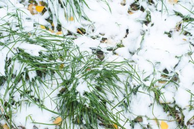 Sonbahar kar doku bırakır
