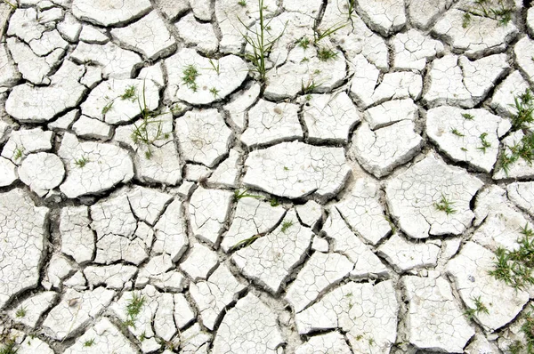 Cracked ground, cracked texture — Stock Photo, Image