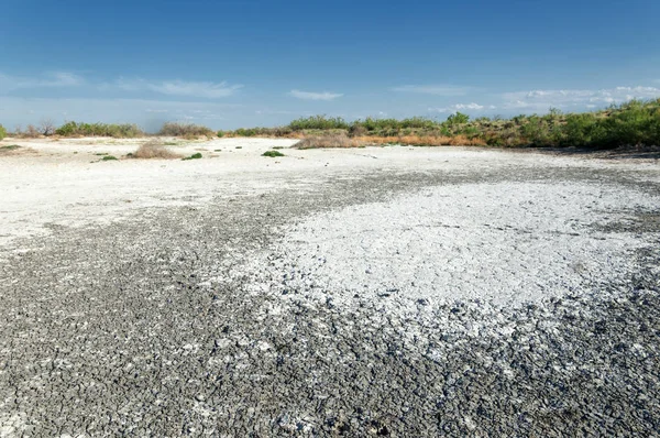 Steppe saline soils. saline  salt  in salt.  steppe  prairie  ve — Stock Photo, Image