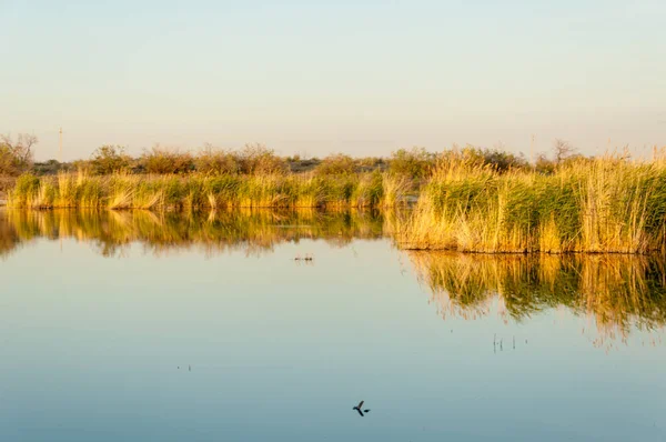 Malé jezero pod krásnou oblohu, večerní scéna na jezeře ve stepi — Stock fotografie