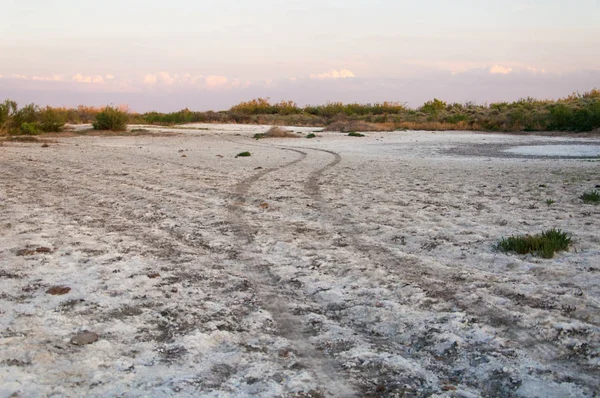 Steppe saline soils. saline  salt  in salt.  steppe  prairie  ve — Stock Photo, Image