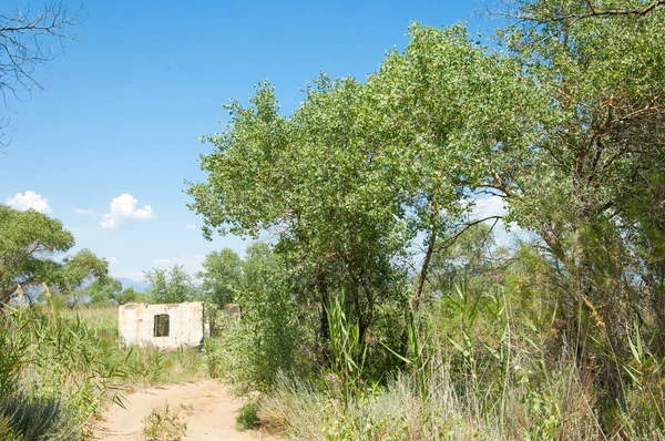 Bozkır yaz. Turgai Kaydet. Çölde Gölü