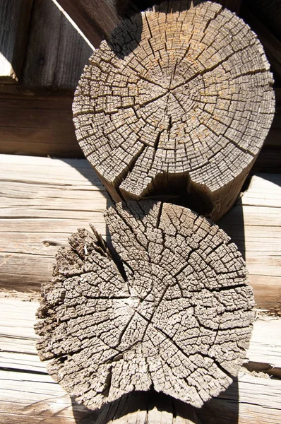 Textura. starý strom — Stock fotografie